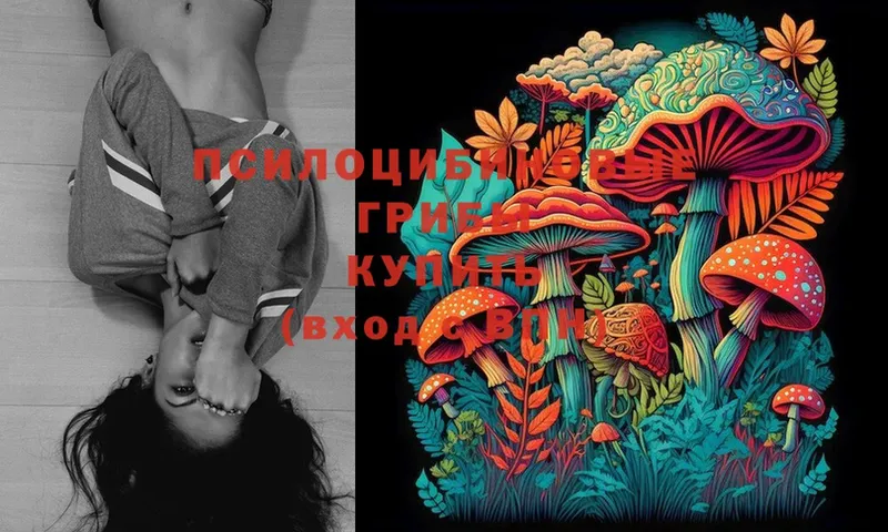 Галлюциногенные грибы MAGIC MUSHROOMS  где купить наркотик  Зверево 